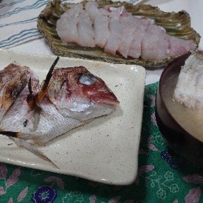 伊豆で船釣りで夫と息子が釣ってきた真鯛❢
お陰様で美味しく頂けました(*´◒`*)♪ᵗʱᵃᵑᵏᵧₒᵤ♫